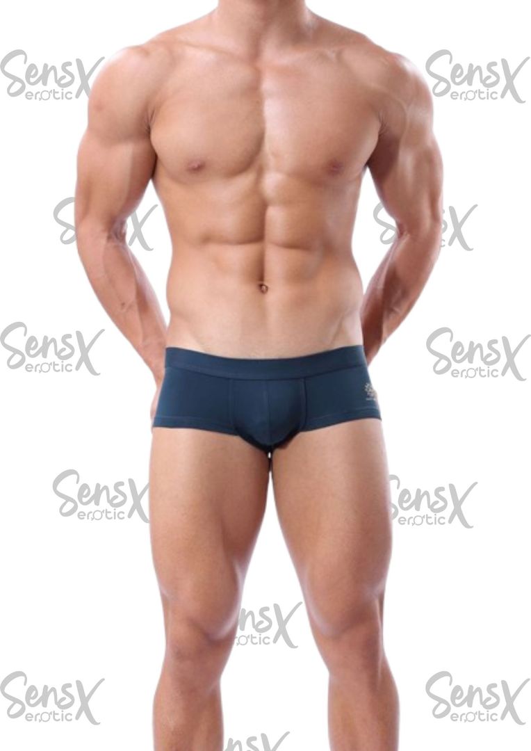 calzoncillos tipo brief para hombre