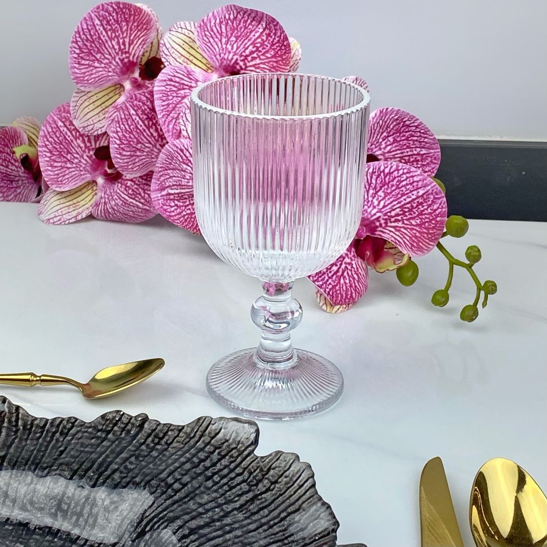 COPA RAYAS TRANSPARENTE