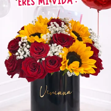 Imagen del producto ERES MI VIDA