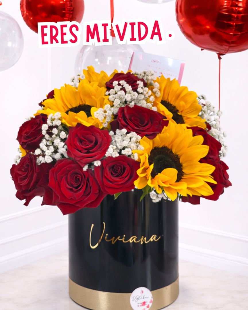 ERES MI VIDA