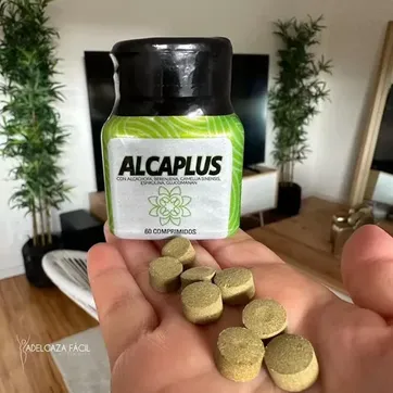 Alcaplus - imagen 5