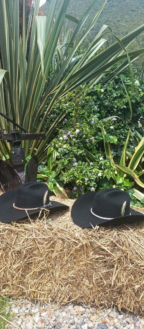 Sombrero de fieltro