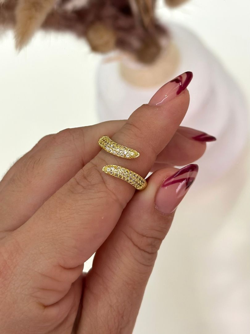 Anillo doble serpiente 
