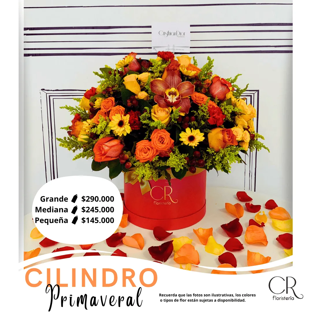 Cilindro Deluxe Primaveral