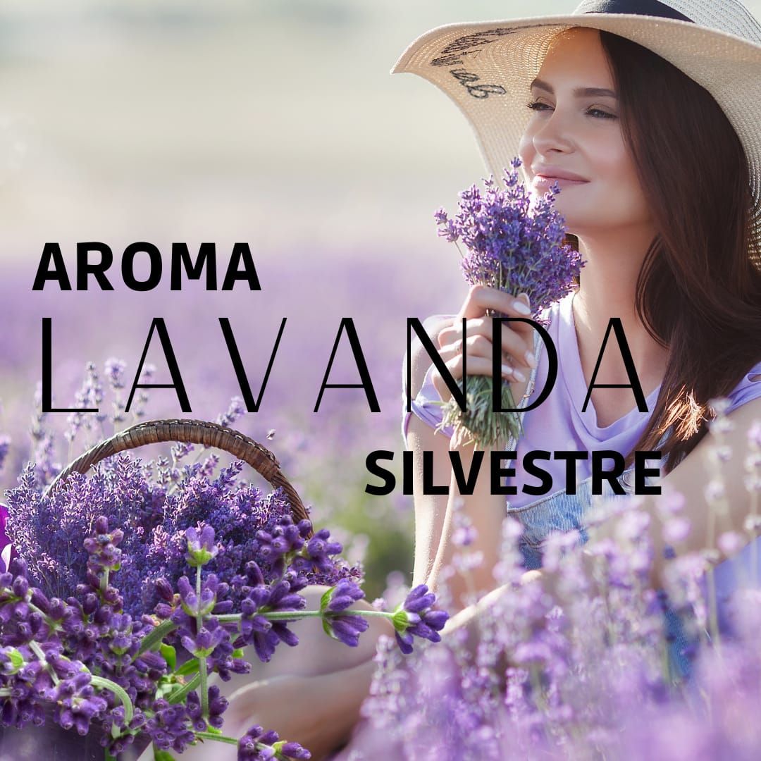 AROMA LAVANDA