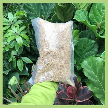 Imagen del producto CASCARILLA DE ARROZ