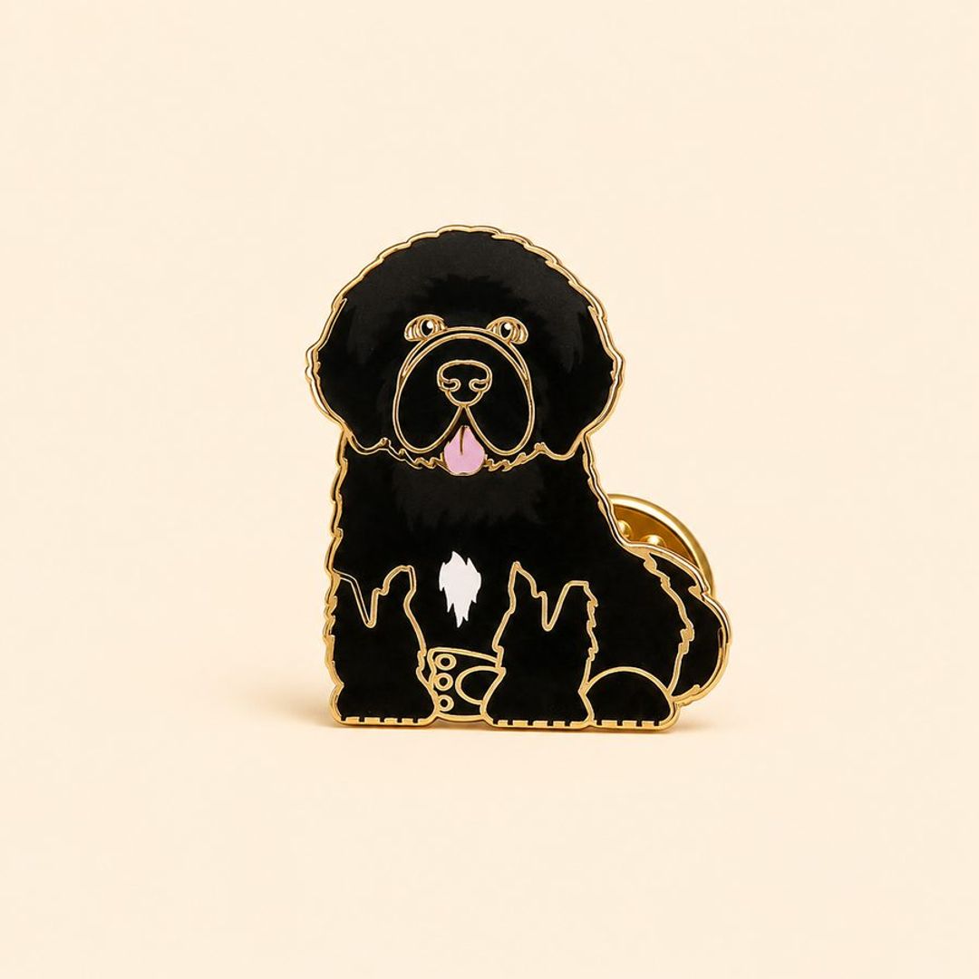 PIN TERRANOVA NEGRO