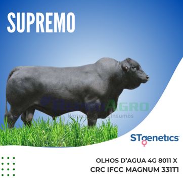 SUPREMO - imagen 1