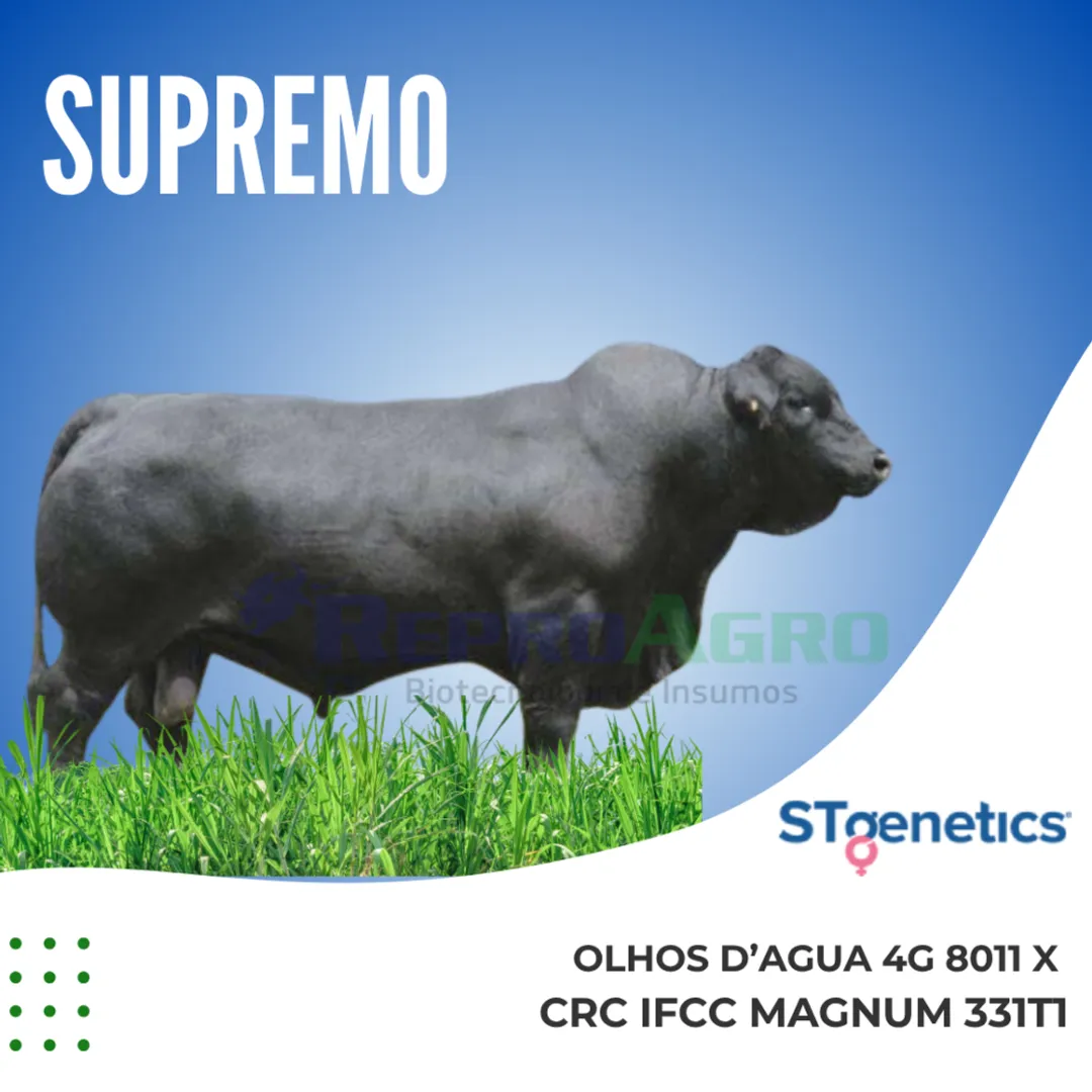 SUPREMO