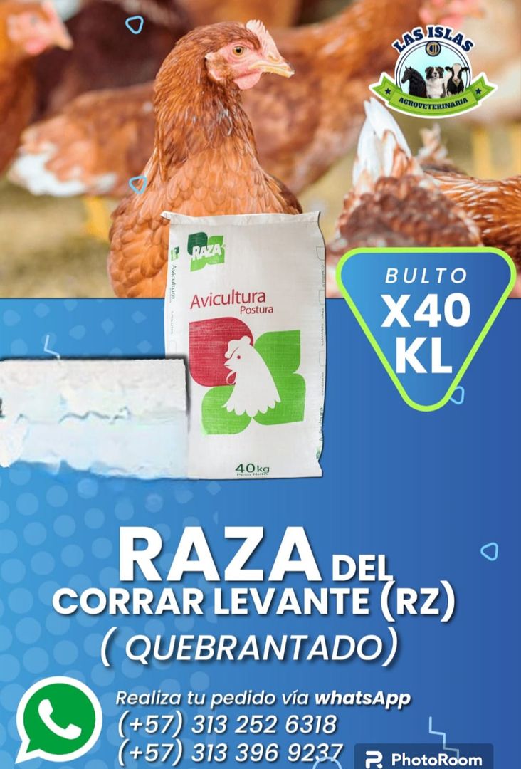 RAZA DEL CORRAL LEVANTE (QUEBRANTADO)