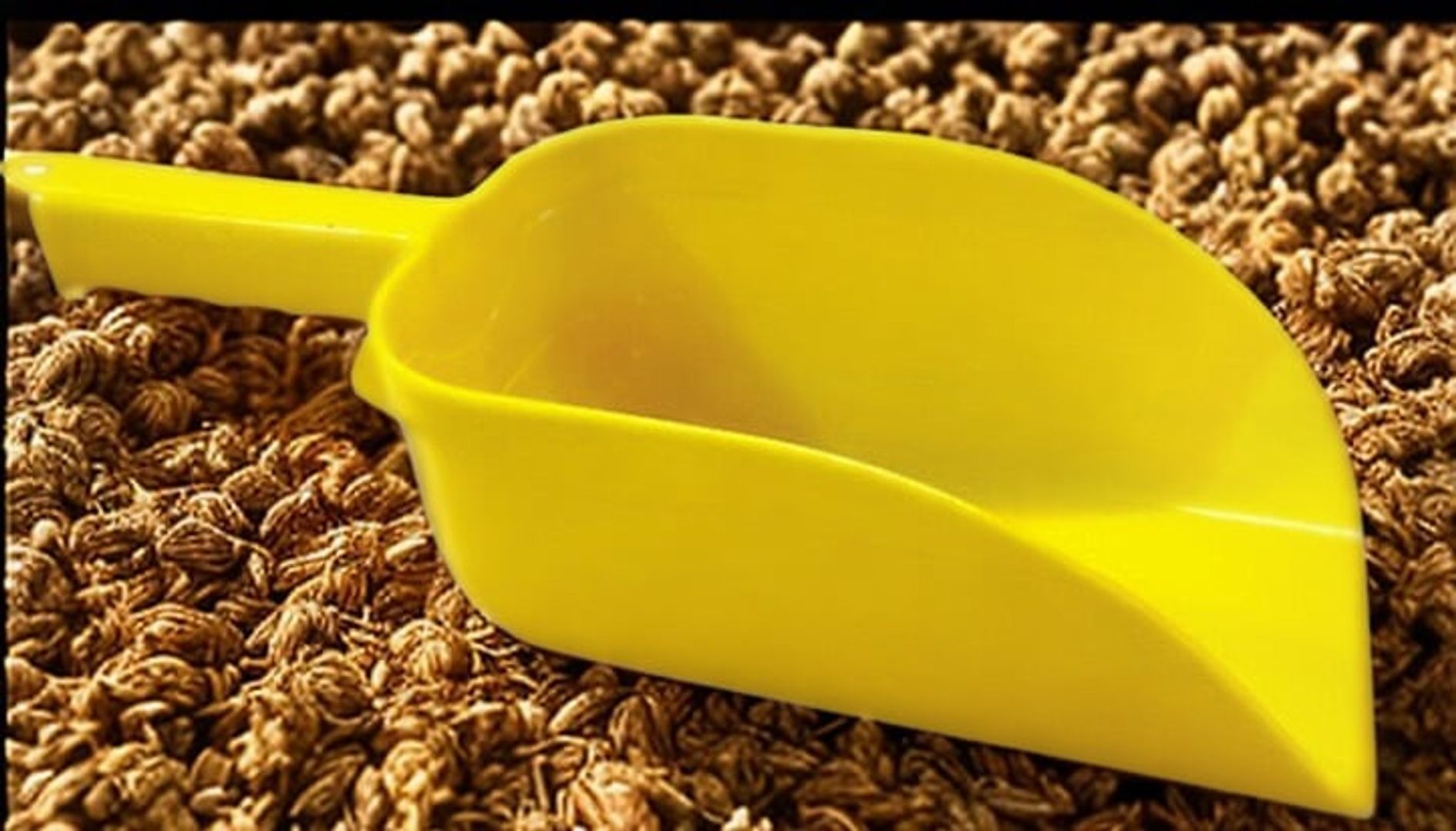 CUCHARA ALIMENTACIÓN
