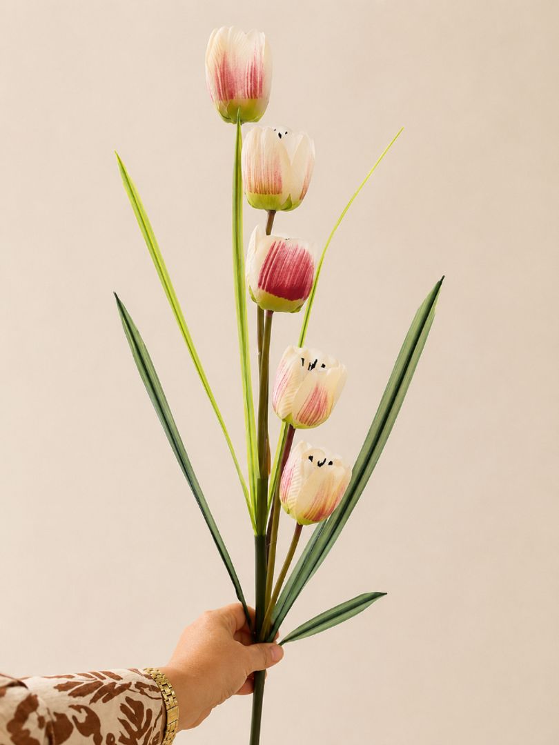 Vara Tulipanes 