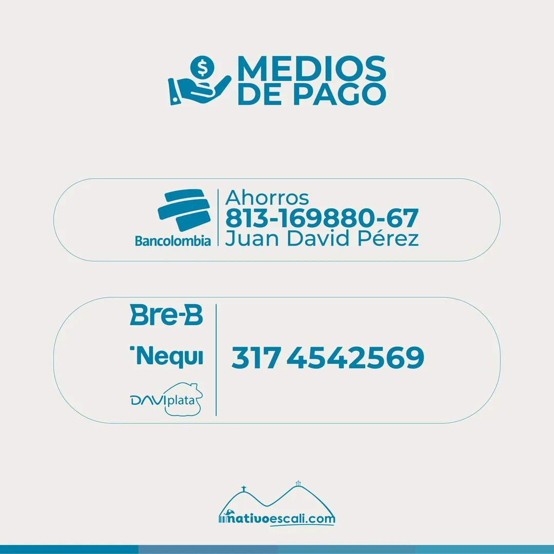 Medios de pago