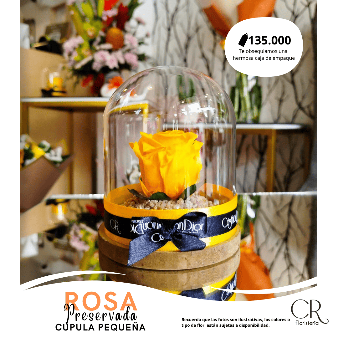 Rosa Preservada Mini