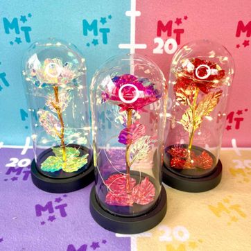 Imagen del producto Rosa Eterna JD