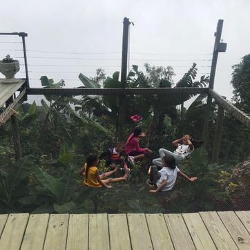 Cabaña S5 - imagen 8