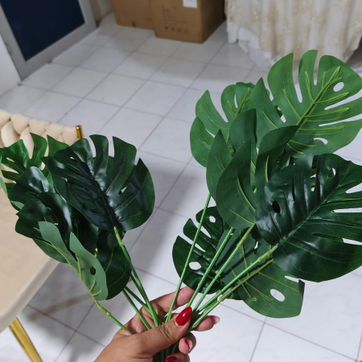 Imagen del producto RAMAS VERDES