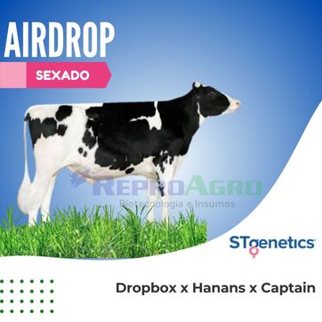 AIRDROP SEXADO - imagen 1