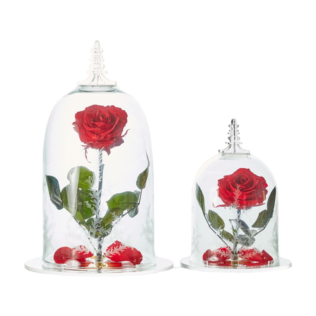 LA BELLA Y LA BESTIA