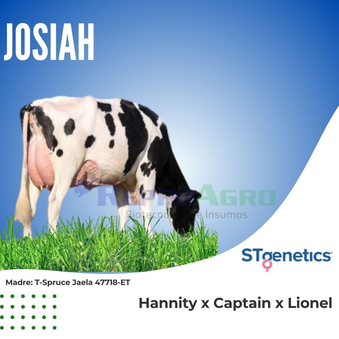 JOSIAH