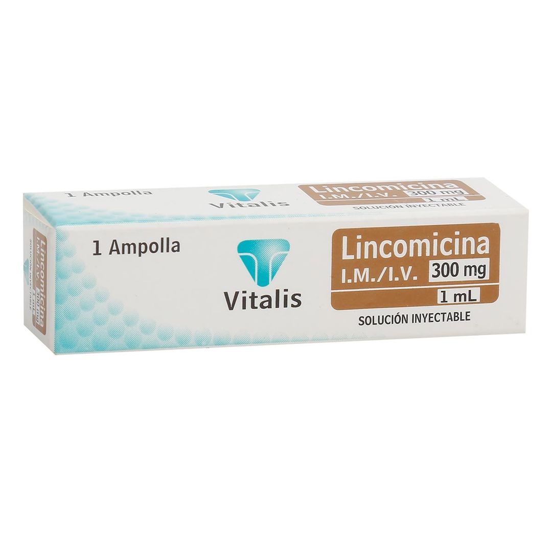 LINCOMICINA 300MG VITALIS AMP UNIDAD