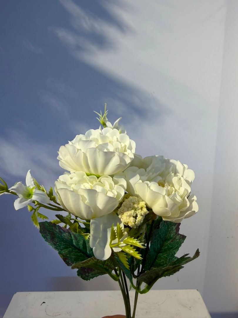 GARDENIA BLANCA
