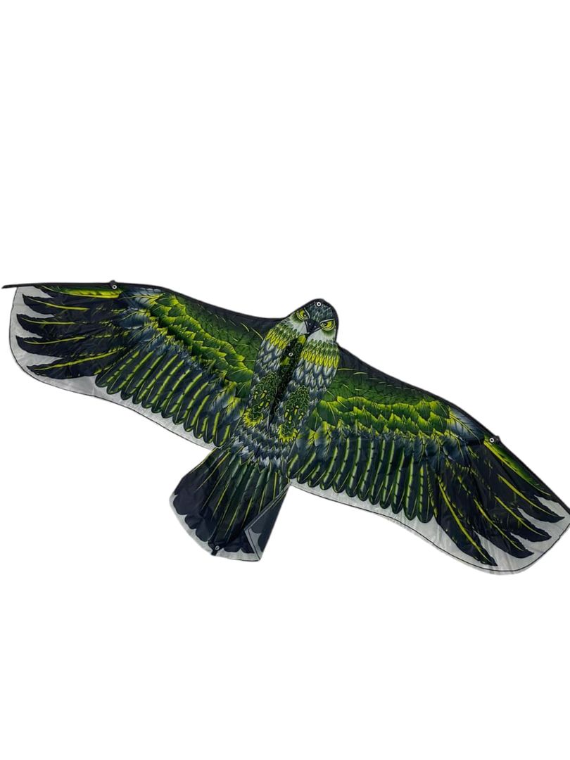 cometa águila 