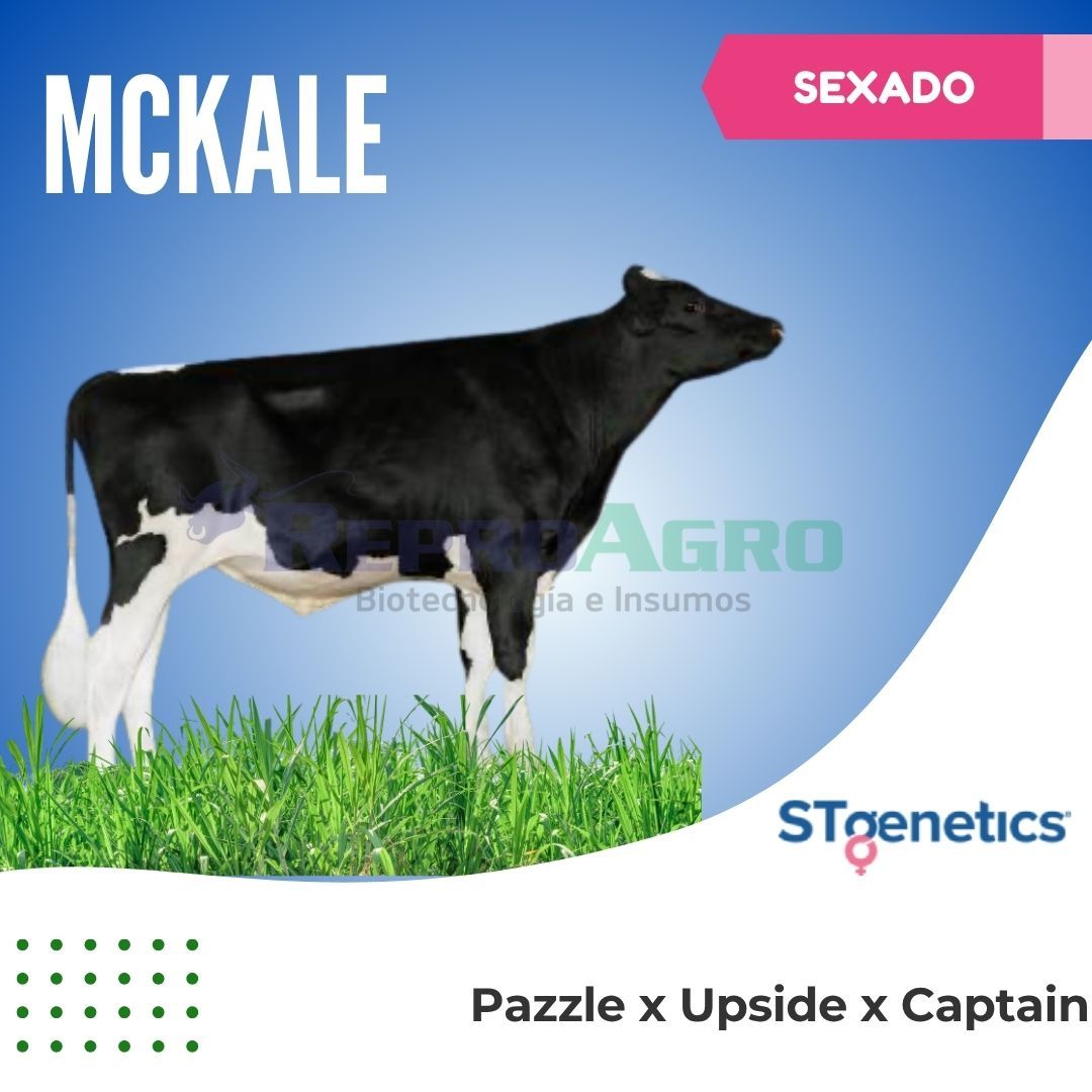 MCKALE SEXADO