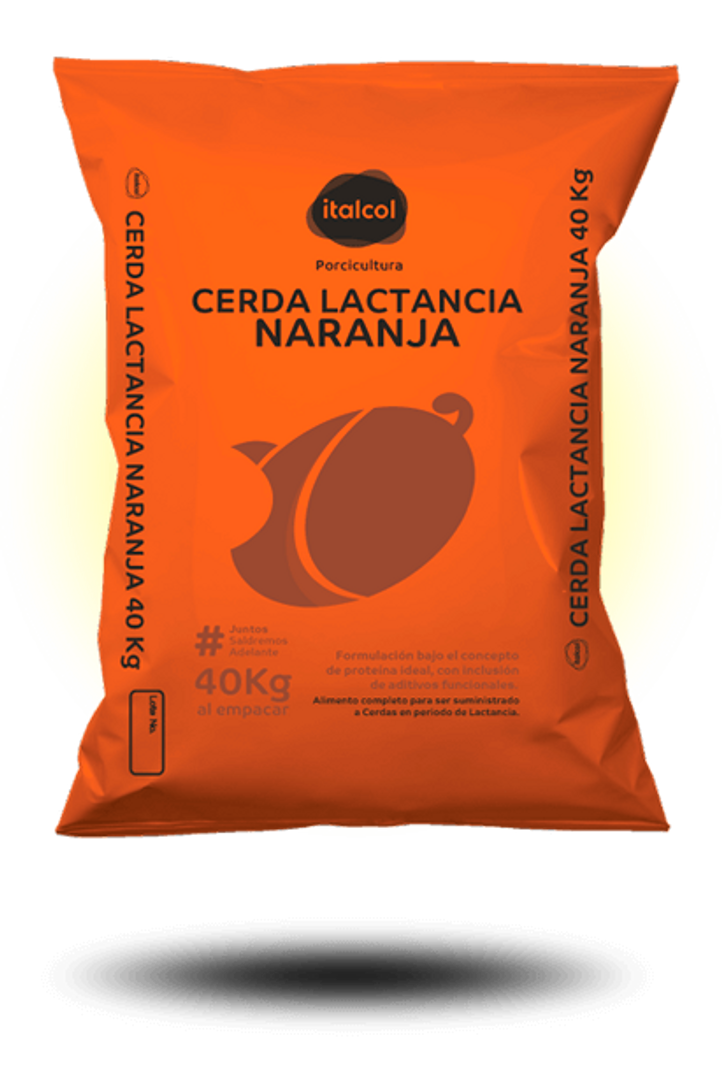 Cerda lactancia naranja