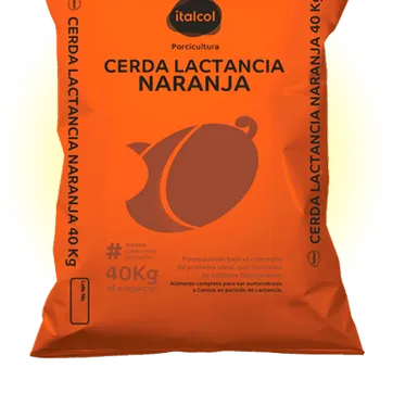Imagen del producto Cerda lactancia naranja