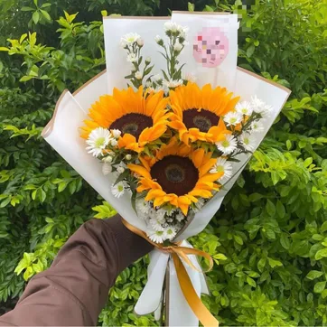 Imagen del producto Ref.5071