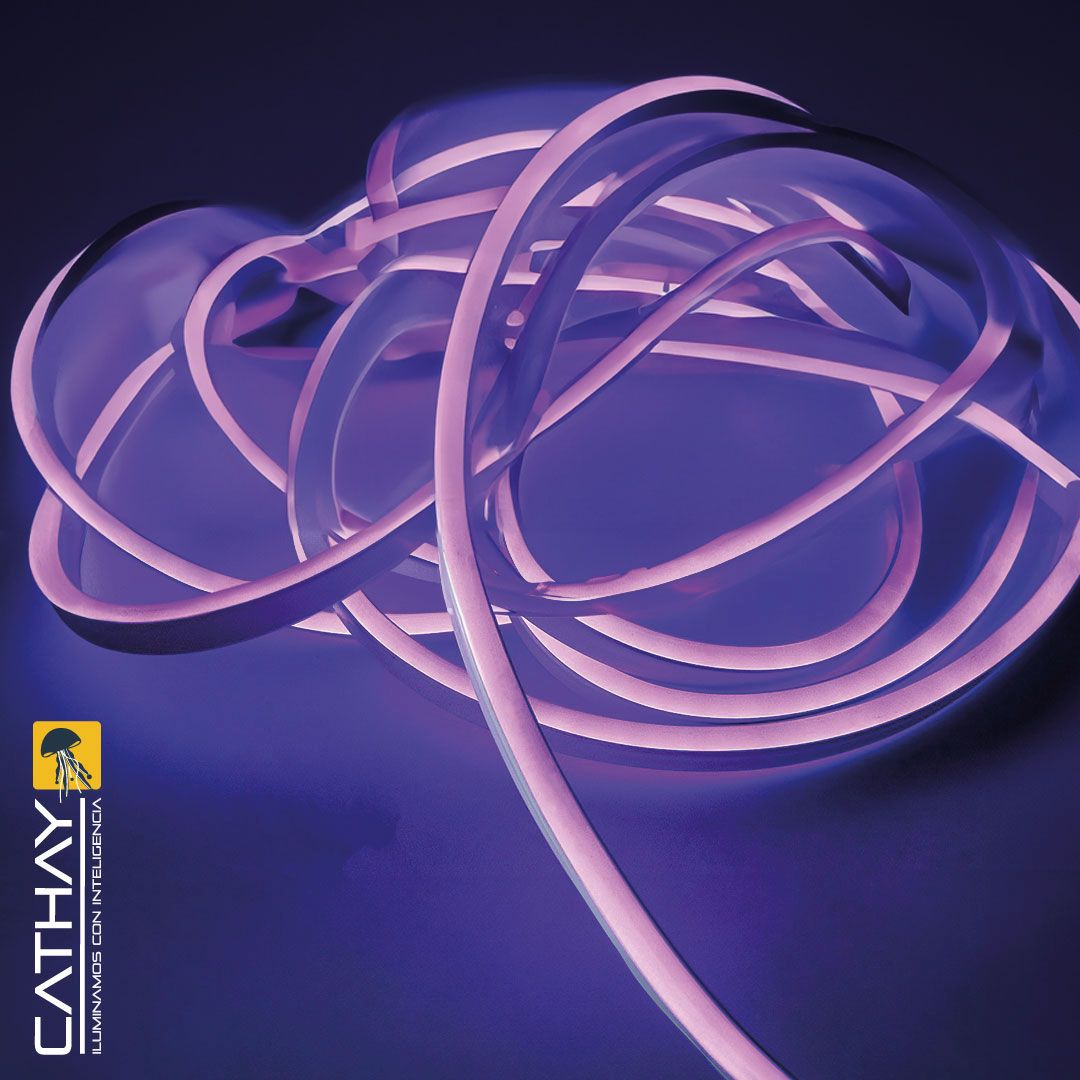 NEON DOBLE FAZ x METRO 11