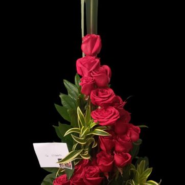 Imagen del producto Movement