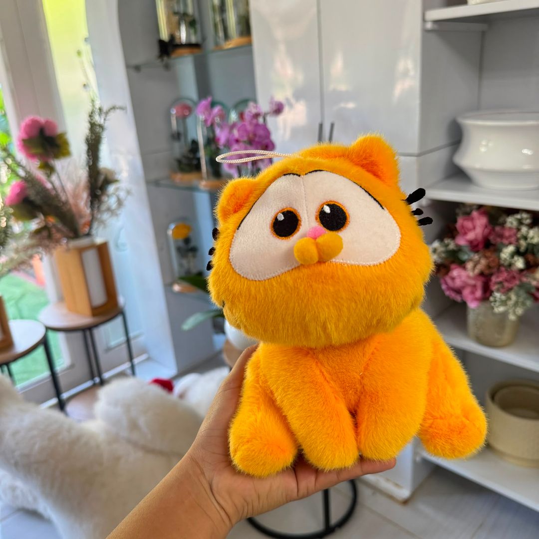 Garfield pequeño