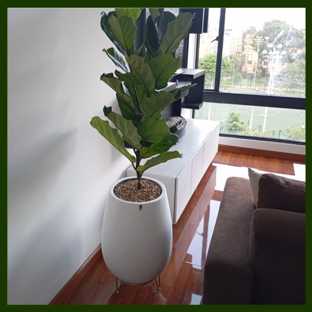 SOPORTE METALICO 10CM (Dorado)