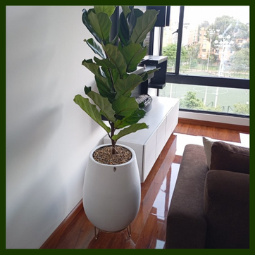 SOPORTE METALICO 10CM (Dorado) - imagen 3