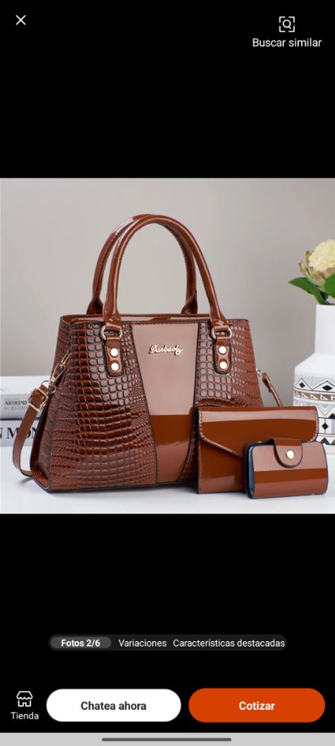 Carteras de hombros de lujo