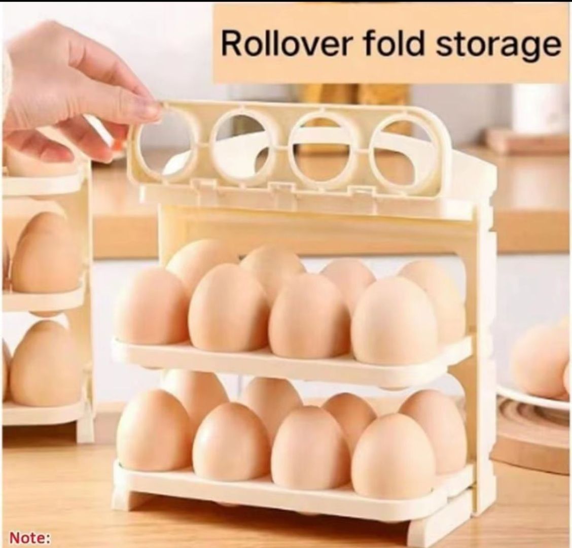 ORGANIZADOR DE HUEVOS 