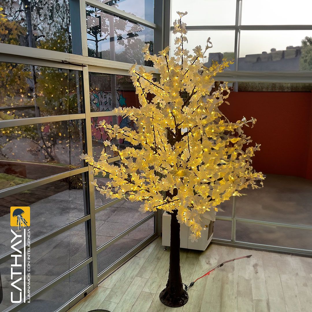 ARBOL TIPO PINO MAPLE 