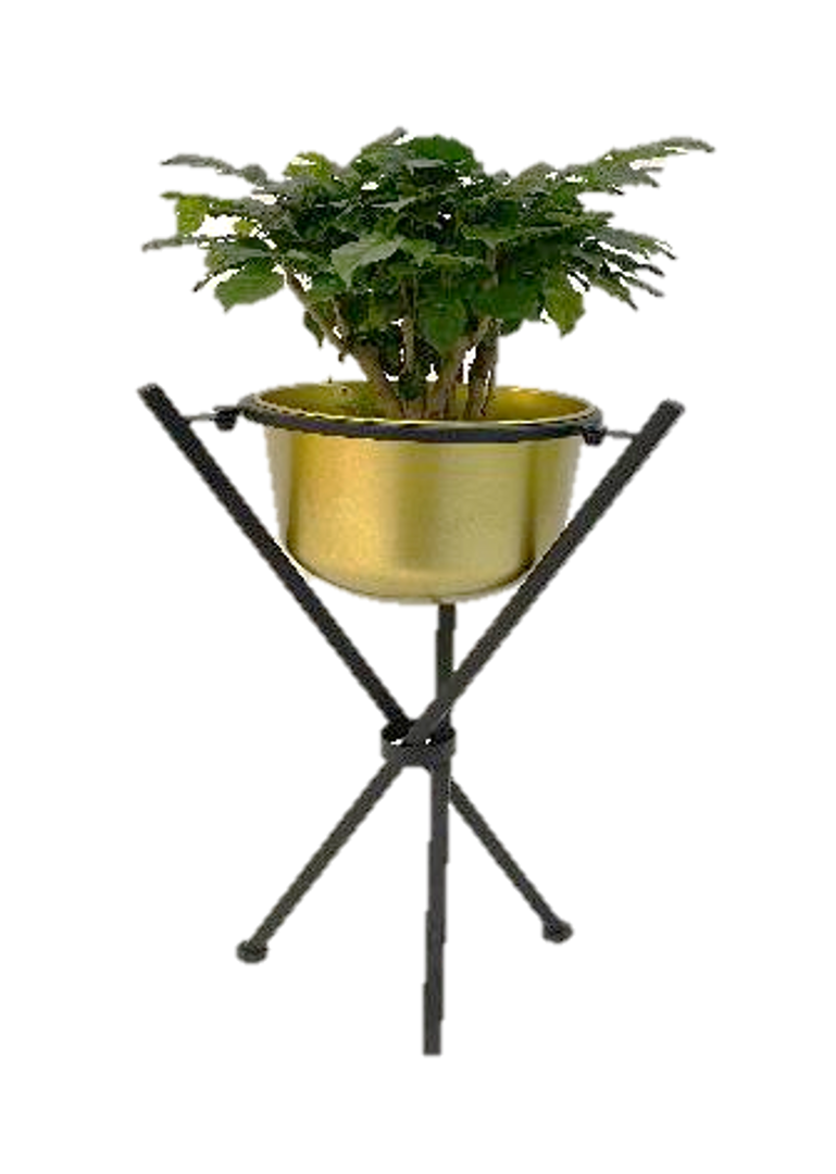 Macetero dorado y negro