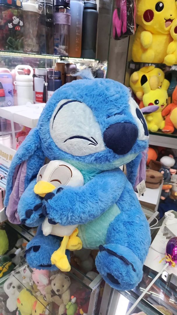 Stich de pato