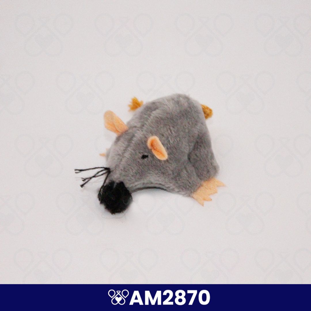 AM2870