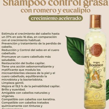 Imagen del producto SHAMPOO ROMERO Y EUCALIPTO