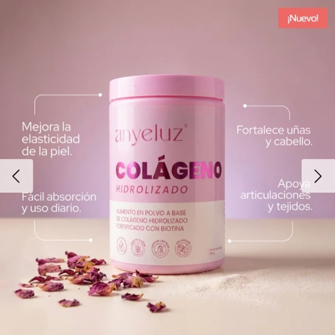 COLÁGENO HIDROLIZADO ANYELUZ 330G
