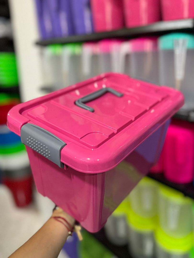 Caja plástica multiusos