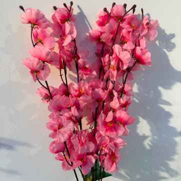 Imagen del producto CEREZO X 7 ROSADO