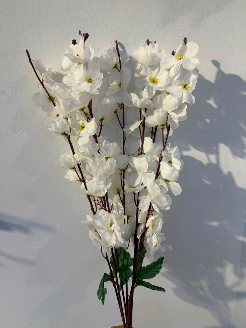 CEREZO BLANCO X 7