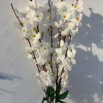 Imagen del producto CEREZO BLANCO X 7