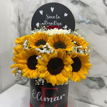 Imagen del producto BOX GIRASOL