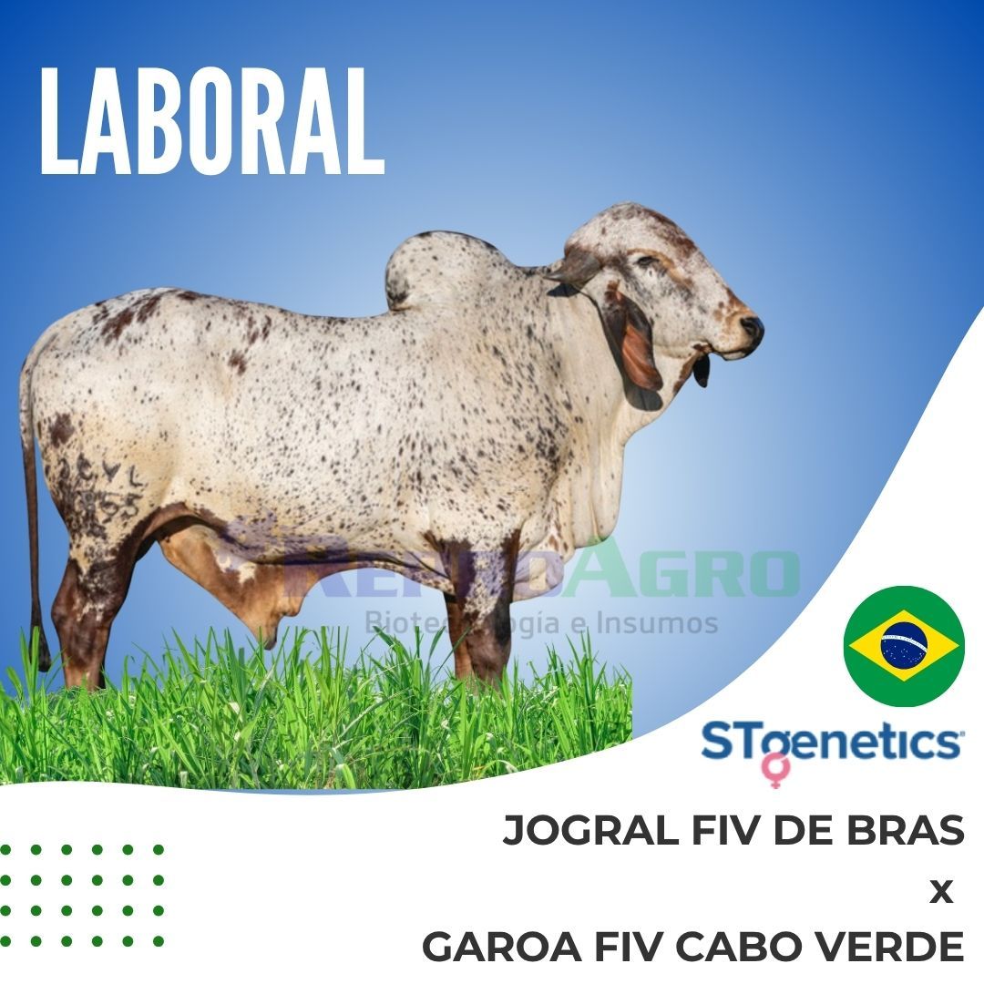 LABORAL